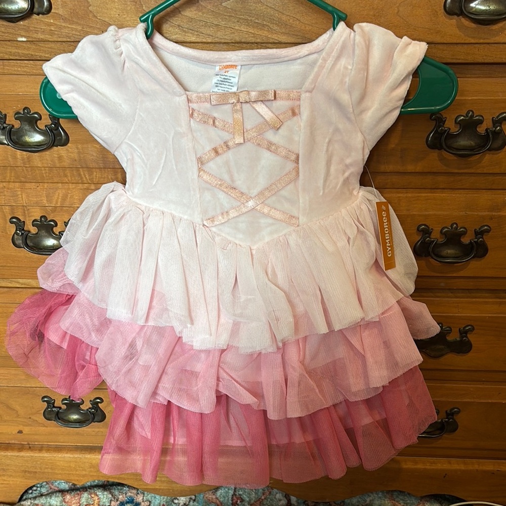 Pink Layered Princess Aurora Velvet and Tulle Dress